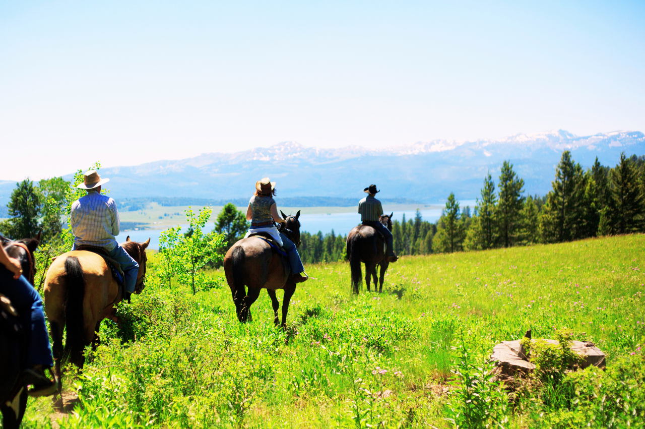 Horseback Riding Tour with Wine Tasting & Transfer