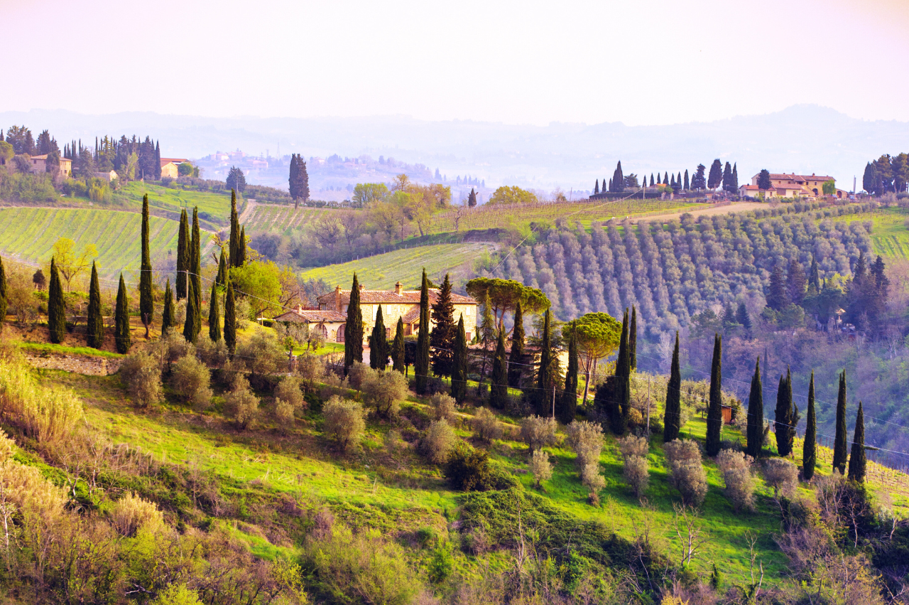 Chianti Wineries Tour with Wine Tasting